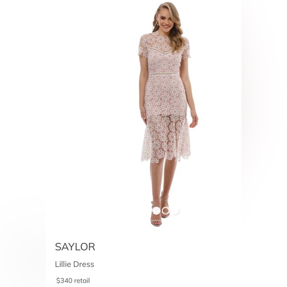 SAYLOR Lillie Lace Illusion Dress 
Illusion Neckline/Open Back 
MED 
BLUSH/IVORY - Picture 5 of 16